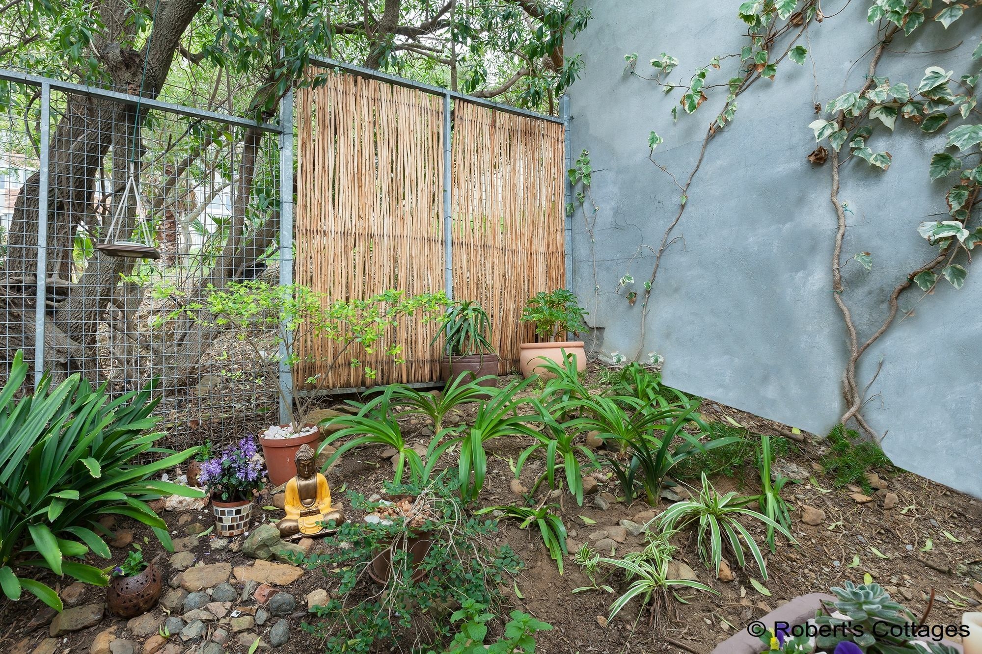 Robert'S Cottages Cidade Do Cabo Exterior foto